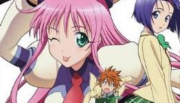 More To Love-Ru News
