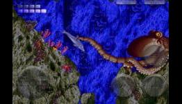Ecco the Dolphin swims onto iPhone