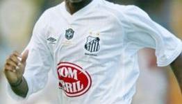 Manchester City Order Robinho To Return From Santos Loan – Report