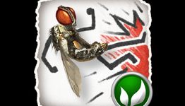 TLR: Fly Fu Review