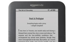 Amazon: Avoidance Is the Best Policy