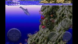 AppSpy: Ecco the Dolphin Review