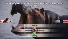 El33tonline Review: NatGeo Quiz Wild Life