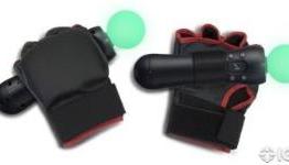IGN: PlayStation Move Boxing Globes