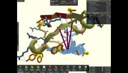 Gaming community credited for solving problems in protein structures