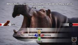 Console Monster: Nat Geo Quiz Wild Life Review