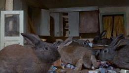 6 Bottom-of-the-Barrel Horror Movies Yet To be Made