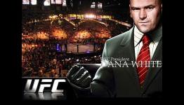 The Story of Mixed Martial Arts Video Games