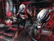 Prey Review