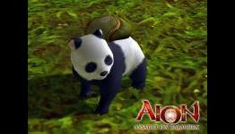 Aion: Assault on Balaurea Pets Exclusive Interview