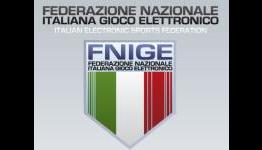 FNIGE has represented Italy at IeSF Euro 2010 Conference