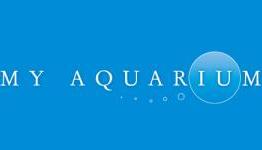My Aquarium Gets A Trailer