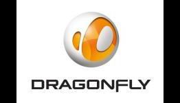 Dragonfly Profits 4 Quarters in a Row.