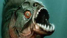 Exclusive Video Interviews with Piranha 3D Cast and Crew