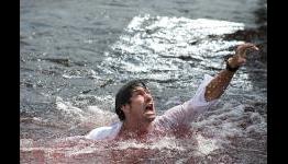 Piranha 3D Promises Boobs, Blood and Tons of Gore in New Pictures