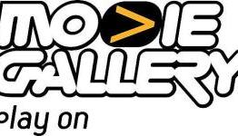 Select Movie Gallery stores now privately owned