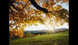 Playeraffinity: Epic Fall
