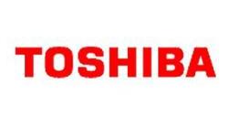 Toshiba to release glasses-free 3D TV this year?