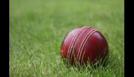 BigAnt Studios announce new Cricket game