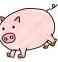 piggytrio