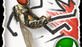 Neocrisis: Fly Fu Interview – Part 1