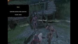 The Witcher The Wildcat Potion Mod Released