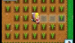 Harvest Moon DS: Grand Bazaar Review at CheatCC