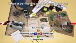 XboxGaming: Nat Geo Quiz! Wild Life Review