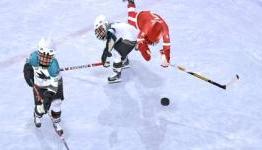 GameSpot : NHL Slapshot Review