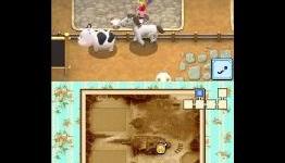 CSM: Harvest Moon – Grand Bazaar Review