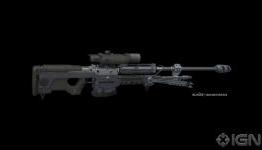 Sniper Rifle vs. Focus Rifle