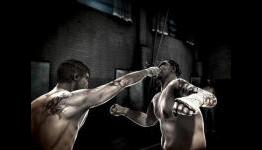 PALGN: The Fight Preview