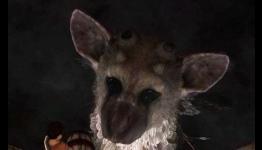 Ueda Provides Details On The Last Guardian