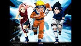 Viz Media Announces New Bleach, Naruto and Vampire Knight Anime Releases