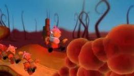 Sex-Ed Game ‘Privates’ Denied by XBLA