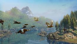Player Affinity: Cabela’s North American Adventures Review