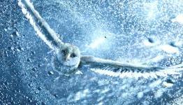 September 24-26, 2010 Box Office Predictions – “Money Never Sleeps”, “Guardians” Set to Rule