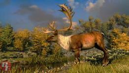 GameFocus – Cabela’s North American Adventures Review