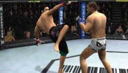 Review | UFC Undisputed 2010 (PSP) – Gamefreaks