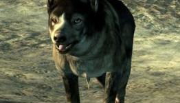 4 Best Video Game Sidekicks Of All Time