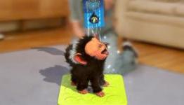 AvClub: EyePet Review