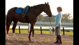 The Film Stage: [Review] Secretariat