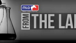 From the Lab: MLG’s Product Developer Discusses Our New Site