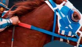 CB – Secretariat Review