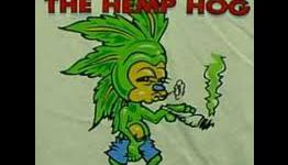 Top 10 Games To Play When You’re High