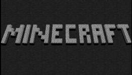 Exploring the Minecraft Phenomenon