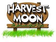 Harvest Moon Wii details spilled.