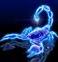 Kingscorpion81