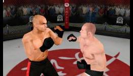 Guardian: MMA Review