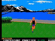 Wii strips down for California Games